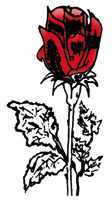 Logo di CASTAGNA ANGELO