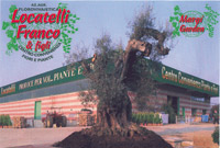 Logo di AZIENDA AGRICOLA FLOROVIVAISTICA LOCATELLI FRANCO & FIGLI