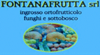 Logo di FONTANAFRUTTA