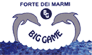 Logo di BIG GAME GIOCATTOLI