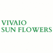 Logo di VIVAIO SUN FLOWERS