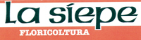 Logo di LA SIEPE