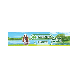 Logo di AGRIZETA PIANTE