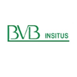 Logo di B.V.B. INSITUS