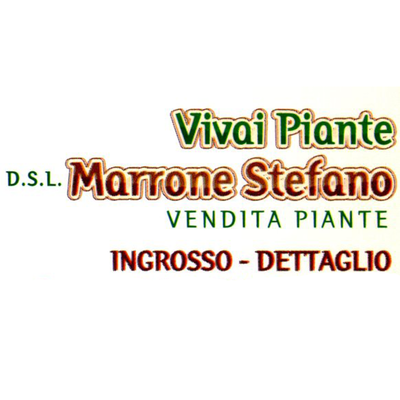 Logo di VIVAIO MARRONE STEFANO