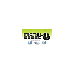Logo di MICHELE SASSO