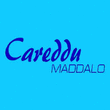 Logo di CAREDDU AUTOLINEE