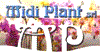 Logo di MIDI PLANT
