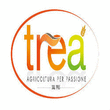 Logo di TRE A GARDEN