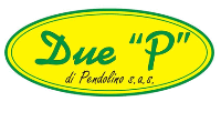Logo di DUE P PENDOLINO SAS