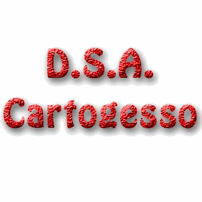 Logo di D.S.A. CARTONGESSO