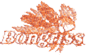 CUNEOGRISS srl