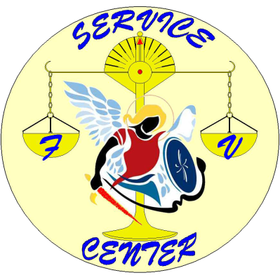 Logo di FV SERVICE CENTER