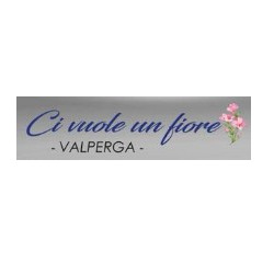 Logo di CI VUOLE UN FIORE