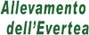 Logo di ALLEVAMENTO DELL'EVERTEA