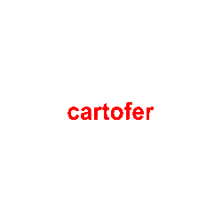 Logo di CARTOFER