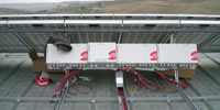 Logo di ECO POWER SYSTEM srl