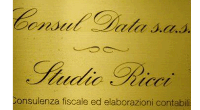Logo di CONSUL DATA SAS