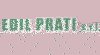Logo di EDILPRATI