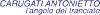 Logo di CARUGATI ANTONIETTO SAS