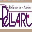 Logo di PELLART