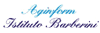 Logo di AGENZIA INVESTIGATIVA AGINFORM - ISTITUTO BARBERINI