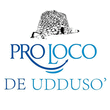 Logo di PRO LOCO DE UDDUSO'