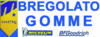 Logo di BREGOLATO GOMME