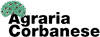 AGRARIA CORBANESE