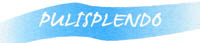 Logo di PULISPLENDO