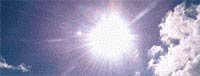 Logo di LA FORMICA SOLARE
