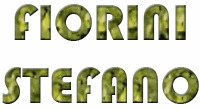 Logo di FIORINI STEFANO
