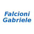 Logo di FALCIONI GABRIELE