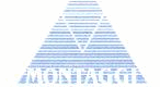 Logo di MONTAGGI INDUSTRIALI SAS DI FRANCESCO ARCH. PERISSINOTTO