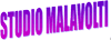 Logo di STUDIO MALAVOLTI