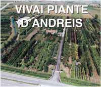 Logo di VIVAI PIANTE D'ANDREIS