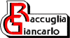 RACCUGLIA GIANCARLO