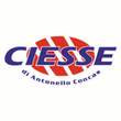 Logo di C.S. INFISSI