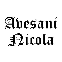 Logo di AVESANI NICOLA