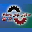 Logo di OFFICINA MECCANICA PELLEGRINI LUIGI E FIGLI