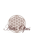 Logo di ARTIS OPUS