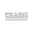 Logo di TEAM 3 ACCONCIATORI