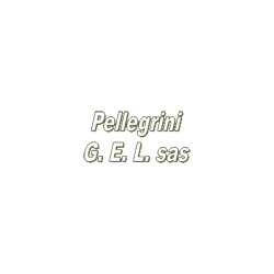 Logo di PELLEGRINO G. & L. PRODUZIONE ALIMENTI SOTT'OLIO