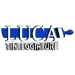 Logo di MACCAFERRI LUCA TINTEGGIATURE