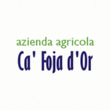 Logo di CA' FOJA D'OR