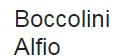 Logo di BOCCOLINI ALFIO TERMOIDRAULICA