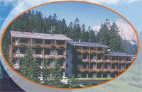Logo di RESIDENCE EDELWEISS