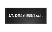 Logo di S.T. DMS