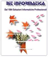 Logo di BIT INFORMATICA sas