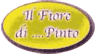 Logo di IL FIORE DI... PINTO